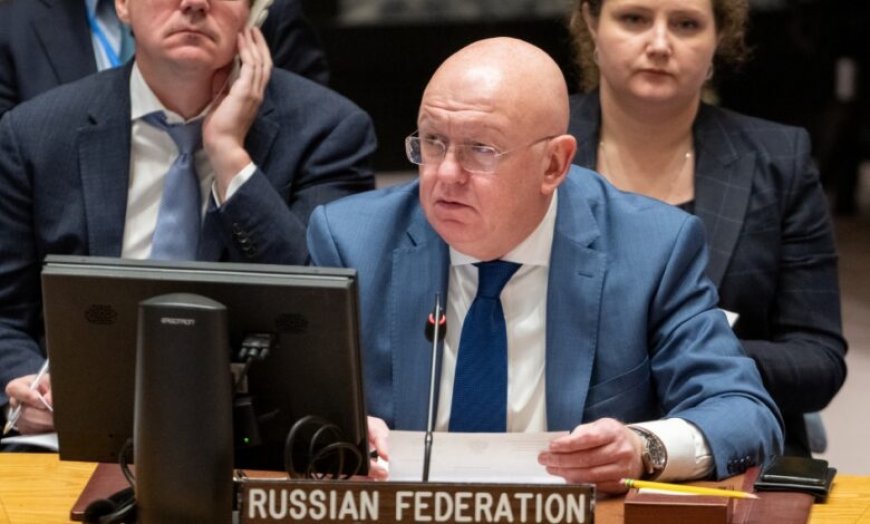 Russian Ambassador to UN Calls for Humanitarian Ceasefire in Gaza