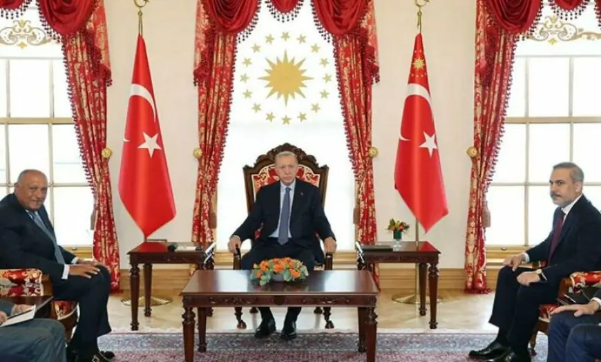 Shoukry and Erdogan collaborate on plans for Sisi’s imminent trip to Turkey