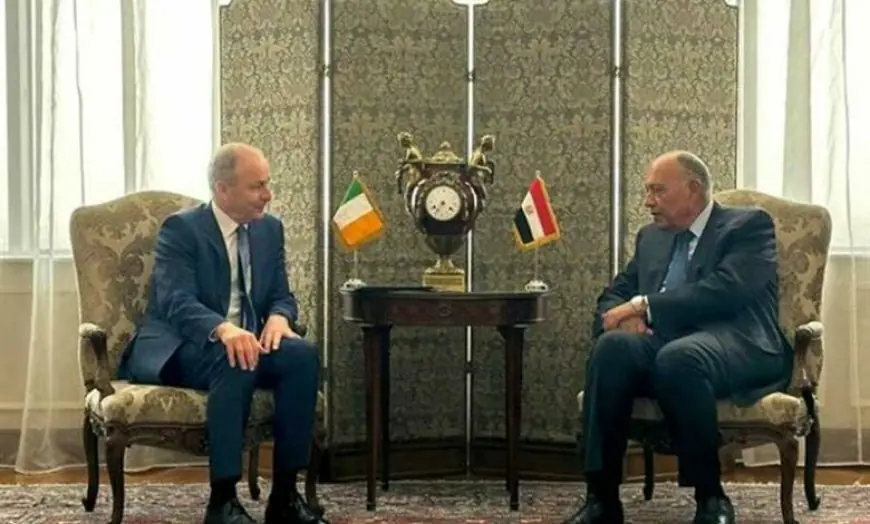 Foreign Ministers of Egypt and Ireland in talks to seek ceasefire in Gaza