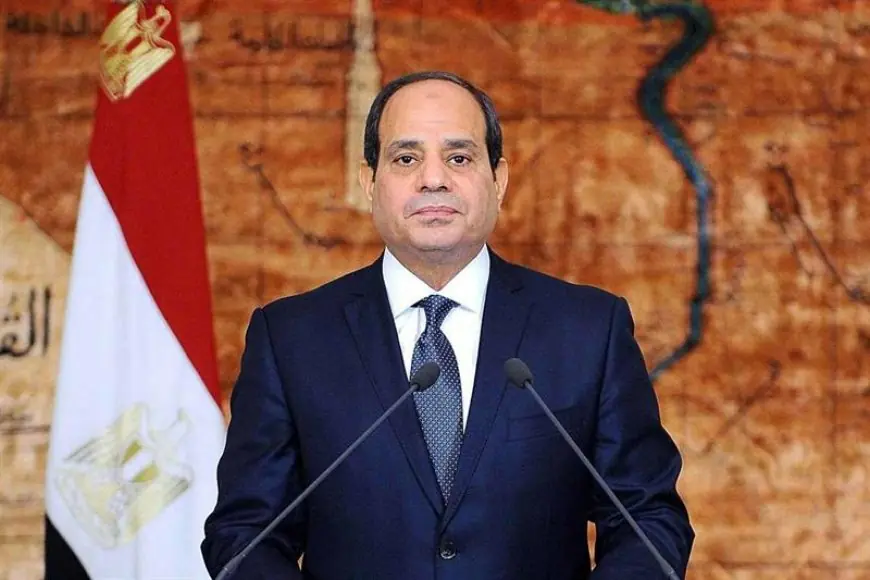 Sisi Outlines Egypt's Stance on the Palestinian Issue