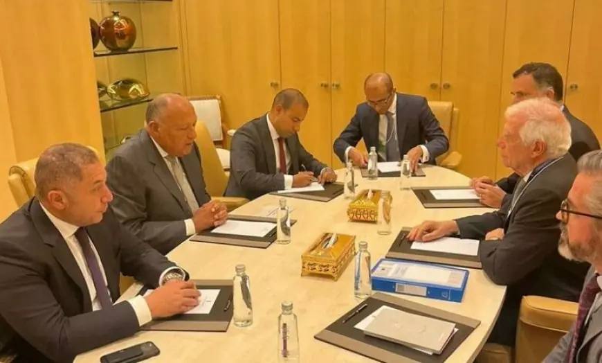 Shoukry and Borell reaffirm condemnation of Israeli actions in Rafah