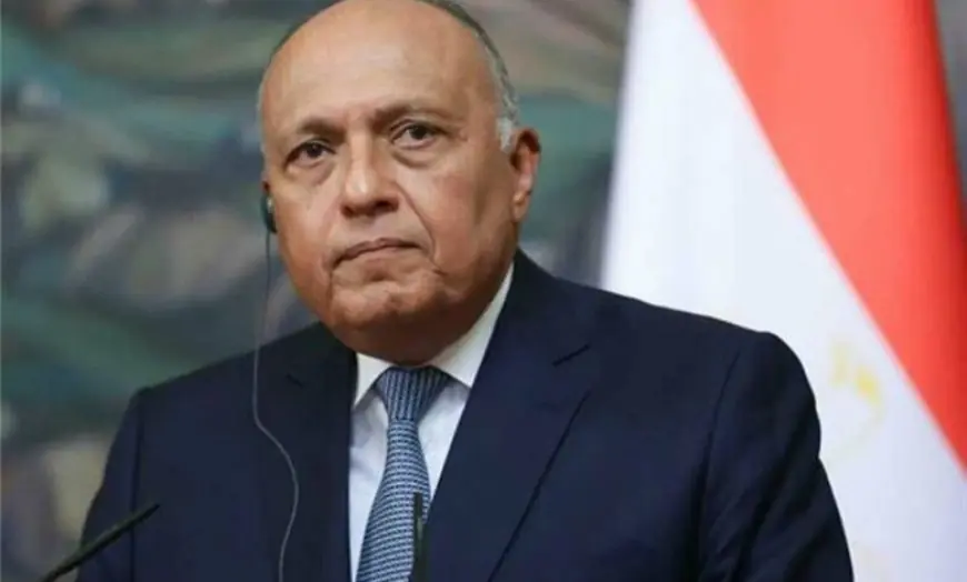Egyptian Foreign Minister to Attend World Economic Forum in Riyadh