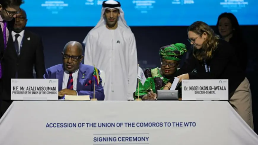 World Trade Organisation Concludes UAE Meeting Without Major Agreements