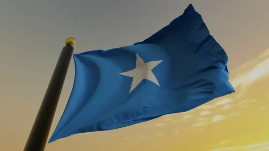 Somalia expels Ethiopian Ambassador for alleged interference