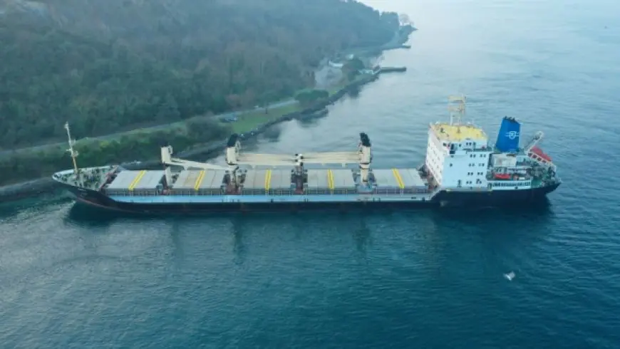 Ukrainian grain ship temporarily halts Bosphorus traffic in Istanbul after running aground