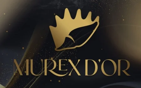 The 2017 Murex D’or Festival: Celebrating Excellence in the Arab Entertainment Industry